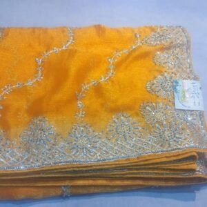 Fancy saree