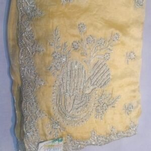 Jimmy choo Fancy Saree