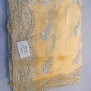 Jimmy choo Fancy Saree