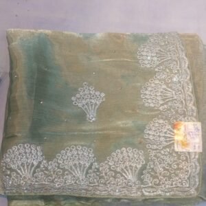 Fancy Saree
