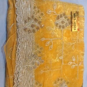 Fancy saree