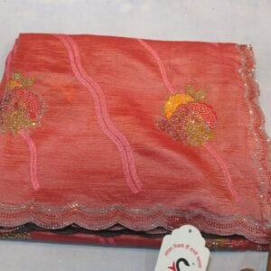 Fancy saree
