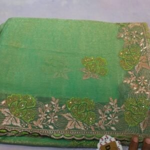 Fancy saree