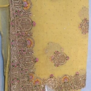 Fancy saree