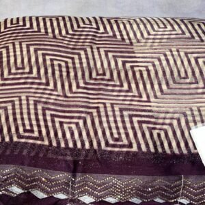 Fancy saree