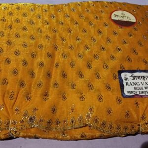 Fancy saree