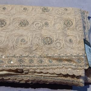 Newt Fancy saree