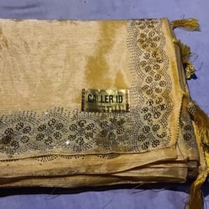 Fancy saree