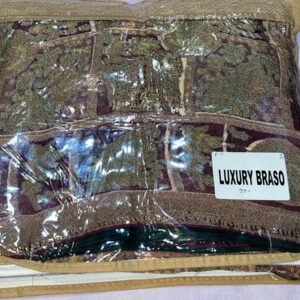 Fancy Braso simple saree